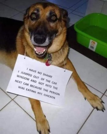 1735621583228.jpeg