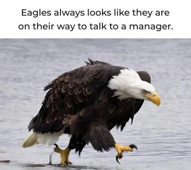 1735775902400.jpeg