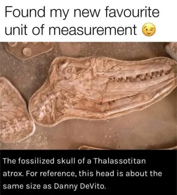 1735874375839.jpeg