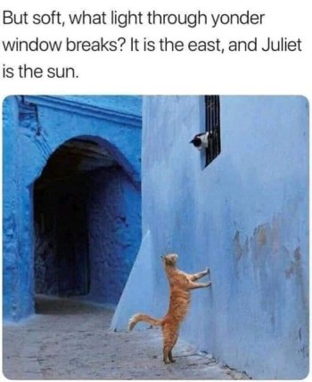 1735947529081.jpeg