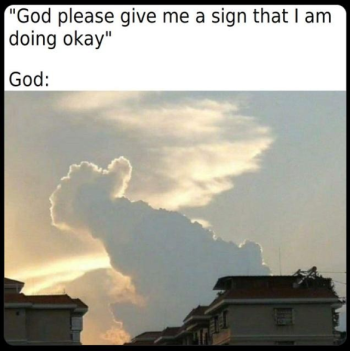 1735962951432.png