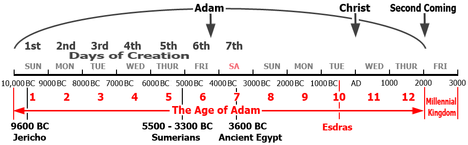 adam2.png
