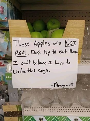 1736005461034.jpeg