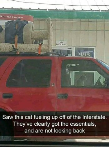 1736095862059.jpeg