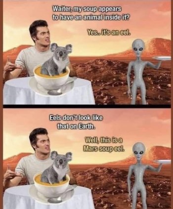 1736105214863.jpeg