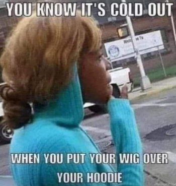 1736108130912.jpeg