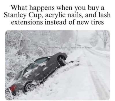 1736175475396.jpeg