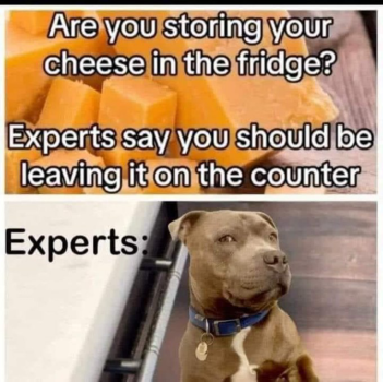 1736289011000.png