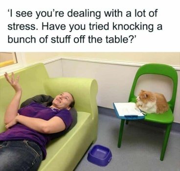 1736330167477.jpeg