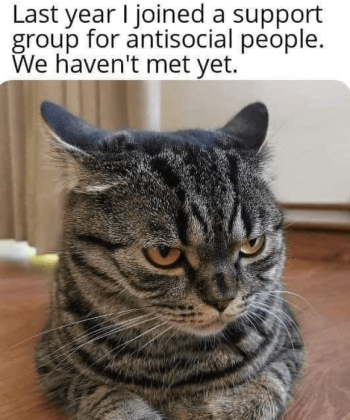 1736330932464.png
