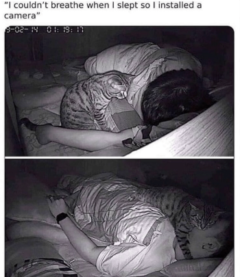 1736331013163.png