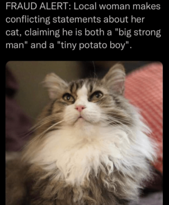 1736331121520.png