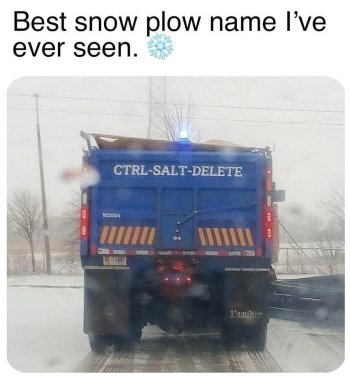 1736453594721.jpeg