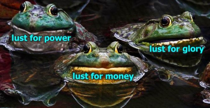 3toads.jpg