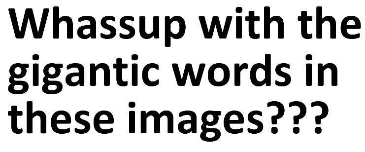 Pic1__PNG.png