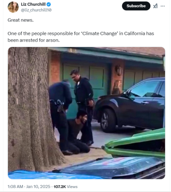 1736515462992.png
