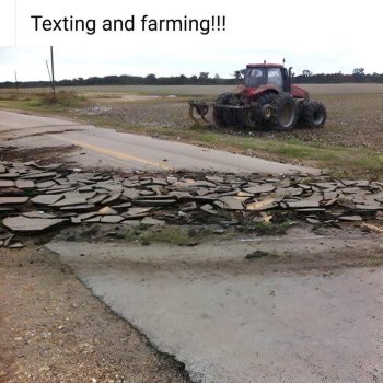 1736725216047.jpeg