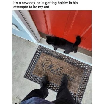 1736769023191.jpeg