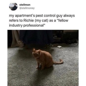 1736769118553.jpeg