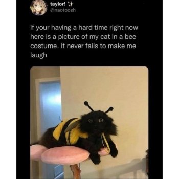 1736769151033.jpeg