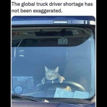 1736769785955.jpeg