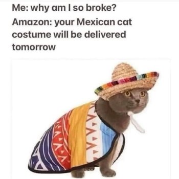 1736770156863.jpeg