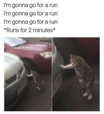 1736780760650.png