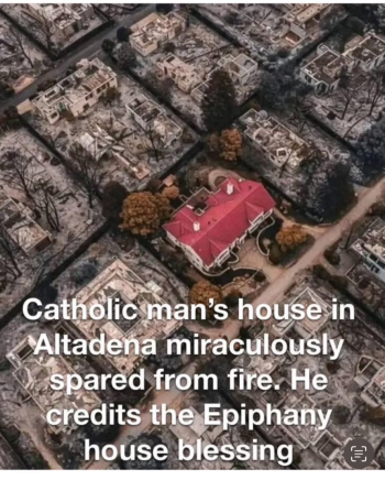 1736793083022.png
