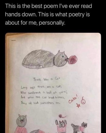 1736794302553.jpeg