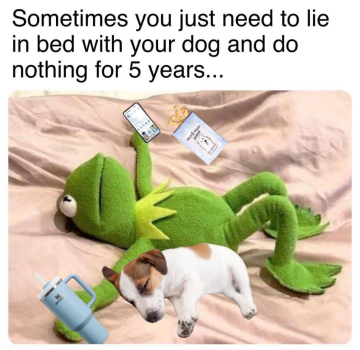 1736829795691.png