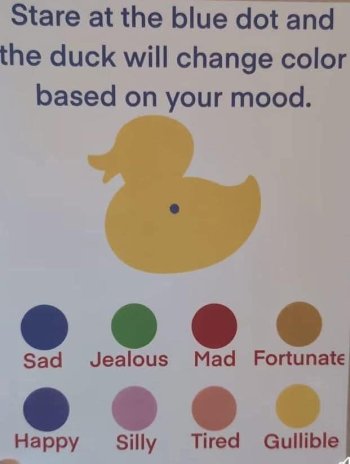 1736832295550.jpeg
