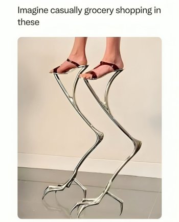 1736834367869.jpeg