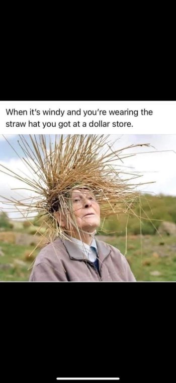 1736963554874.jpeg