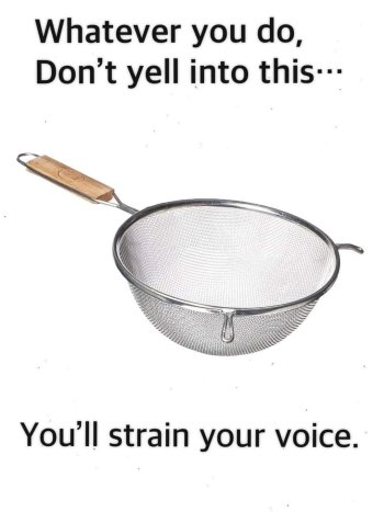 1736974814866.jpeg