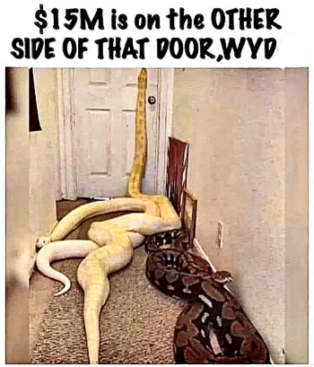 1736994596909.png