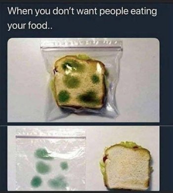 1737025494711.jpeg