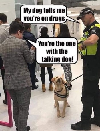 1737053410328.jpeg