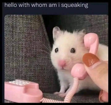 1737089247340.png