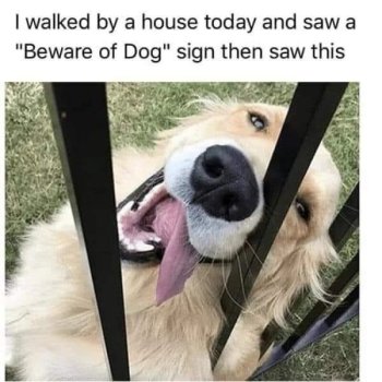 1737116694547.jpeg