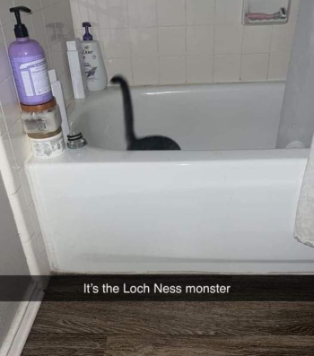 1737125691416.png