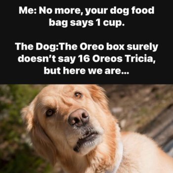 1737199699303.jpeg