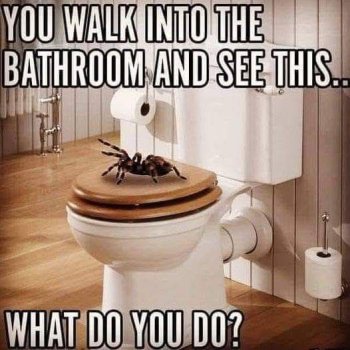 1737243252160.jpeg