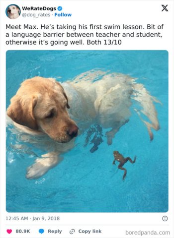 1737346848222.jpeg