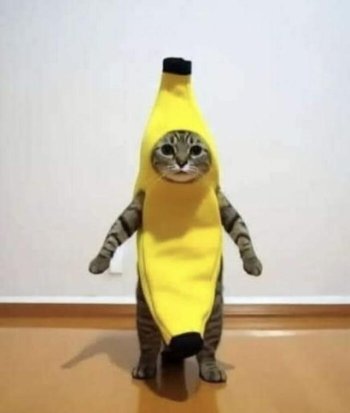 1737346963048.jpeg