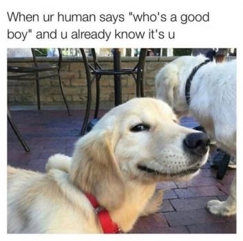 1737348404919.jpeg