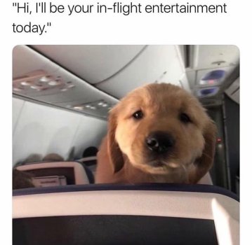 1737348757600.jpeg