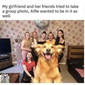 1737348844210.jpeg