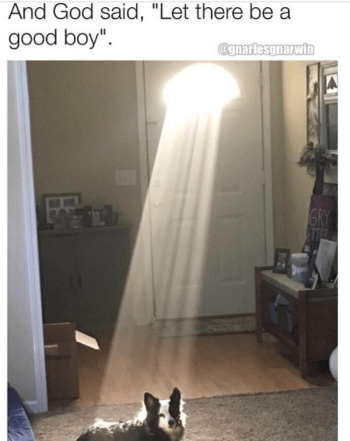 1737406747529.png