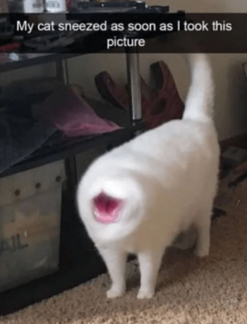 1737413668589.png
