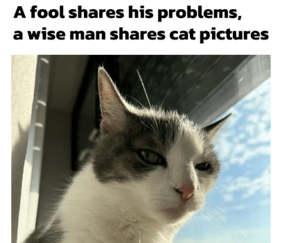1737413733421.png